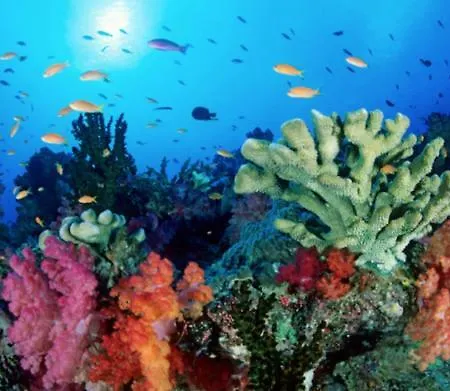 Casa vacanze Casa Di Marco *